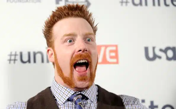 Sheamus Net Worth