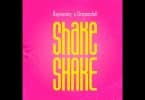 AUDIO Rayvanny Ft DreamDoll - Shake Shake MP3 DOWNLOAD