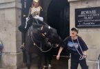 King Charles' Guard Horse Bites Tourist in Shocking Incident (Video)