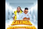 AUDIO Best Naso Ft Nay wa Mitego – Salenda MP3 DOWNLOAD