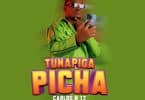 AUDIO Carlos N Tz – Tunapiga Picha MP3 DOWNLOAD